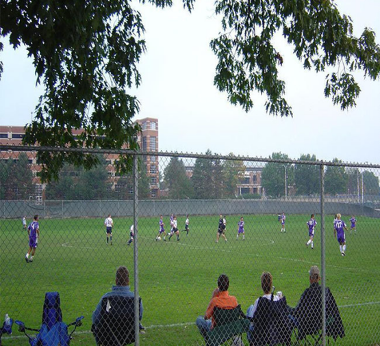  What is the performance characteristics of the stadium fence?