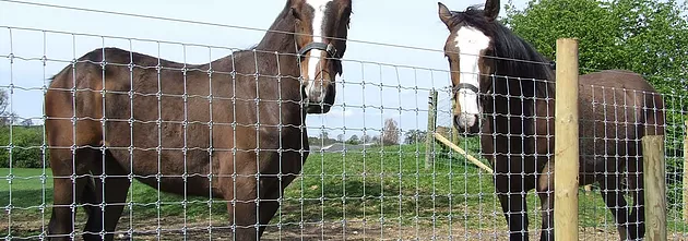 How to Install Build a Farm Fence?