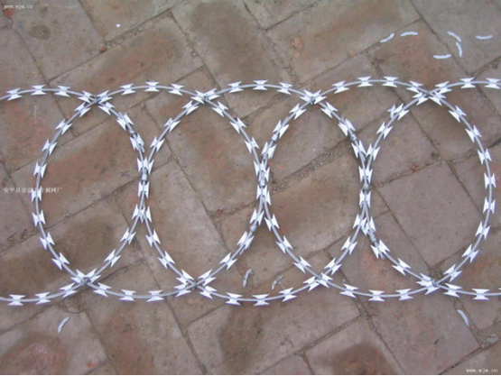  The development of razor wire