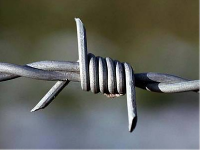 Classification of barbed wire