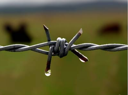 Classification of barbed wire