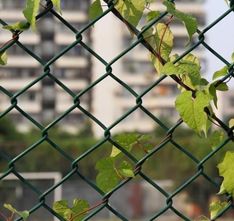  Chain link fence