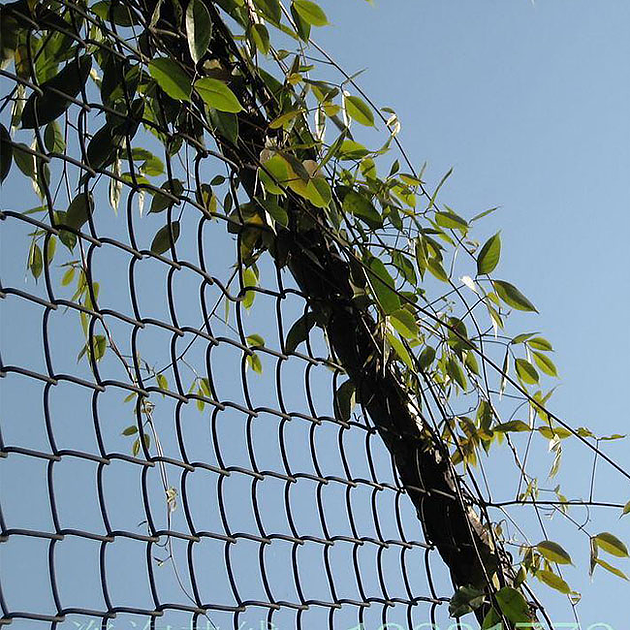 Best Quality of Chain Link Fence