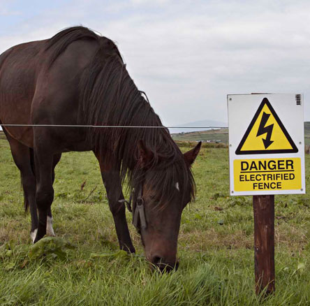 Electric Fence