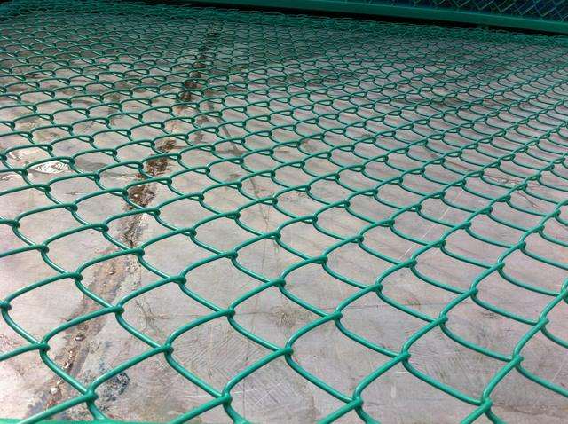 Chain Link Fence is also widely used to raise chickens