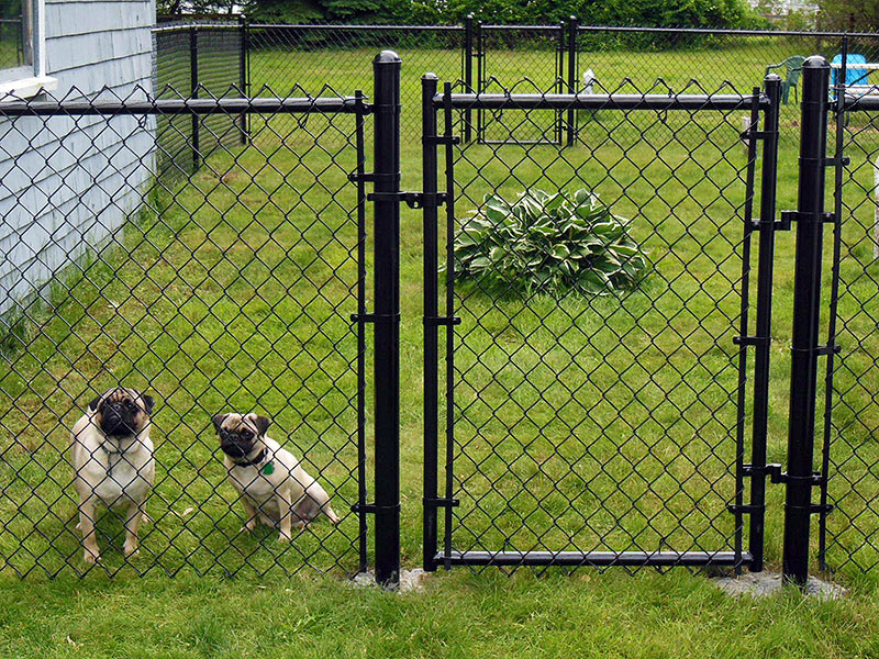 The role of mesh fence