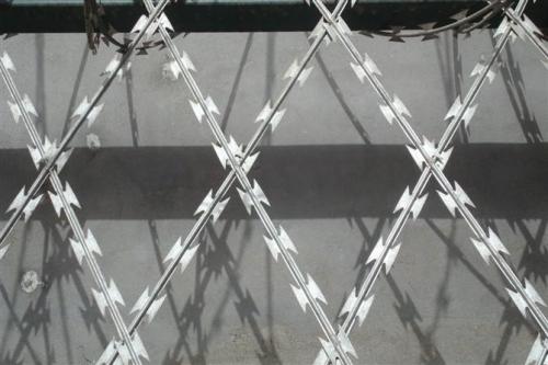 High-strength blade gill net