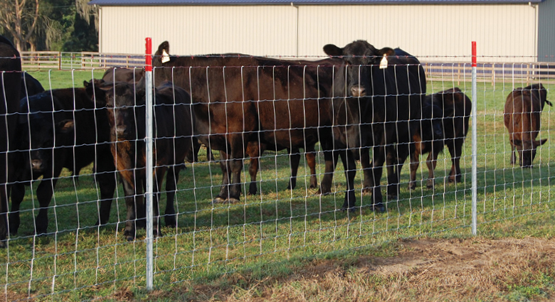 The material and weaving characteristics of cattle Net