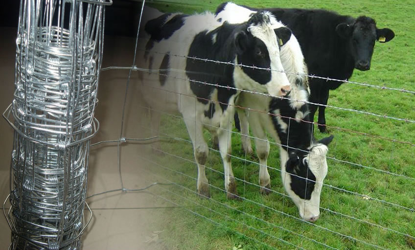 The difference between cold galvanizing and hot-dip galvanized cow net