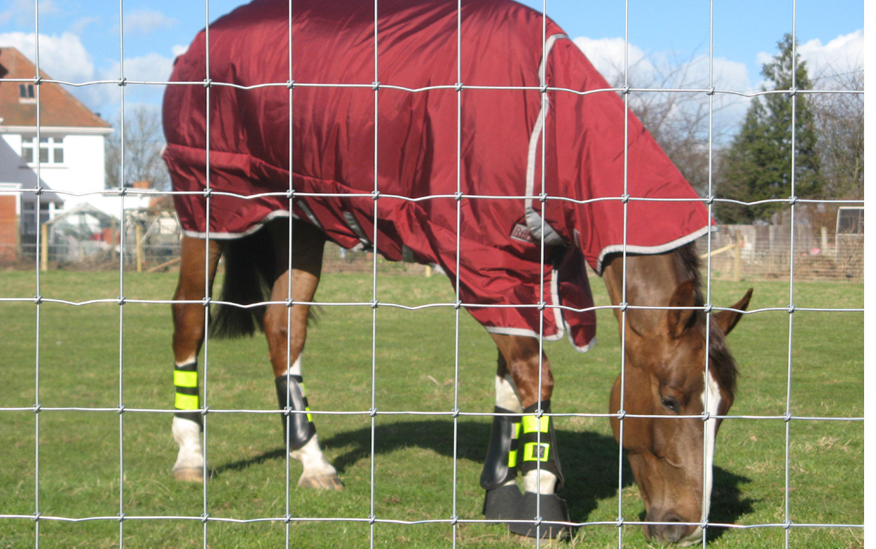 Application of cow netting in Grassland Ranch