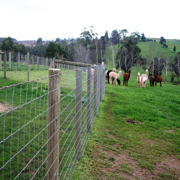 Production process of cattle net grassland net cloth