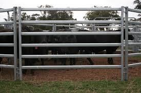 Zinc steel fence, temporary fence