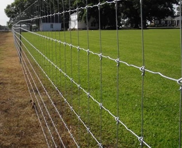 How many years is the typical life of a fence net?