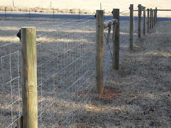 Economic price field fence for farm