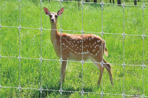 What is the best deer fencing?