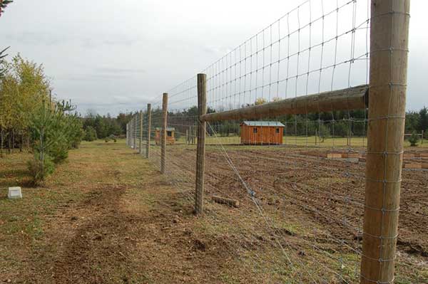 Galvanized Fixed Knot Deer Fence