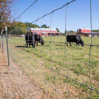 Advantages of farm fence