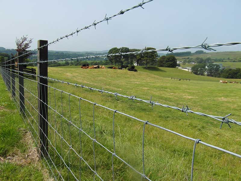 Specifications of farm fence