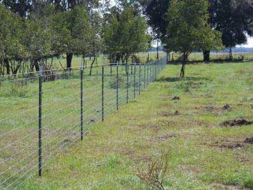 Post for farm fence