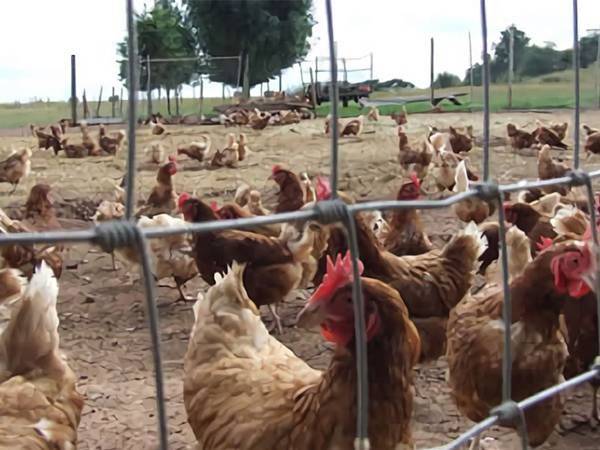 What are the characteristics of a high-quality farm fence?