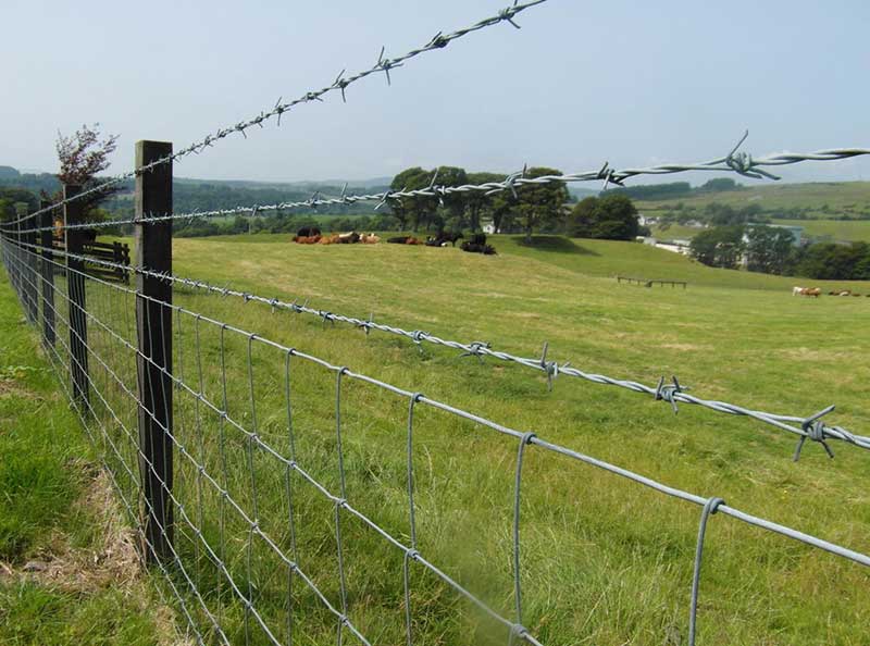 Supplier of the farm fence/field fence/hinge knot fence