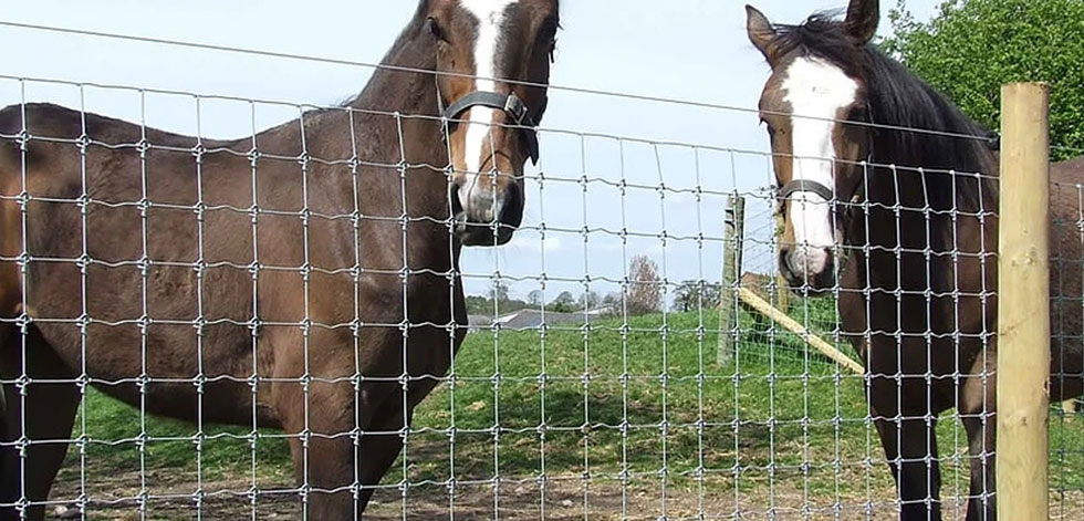 SELECTING HORSE FENCE