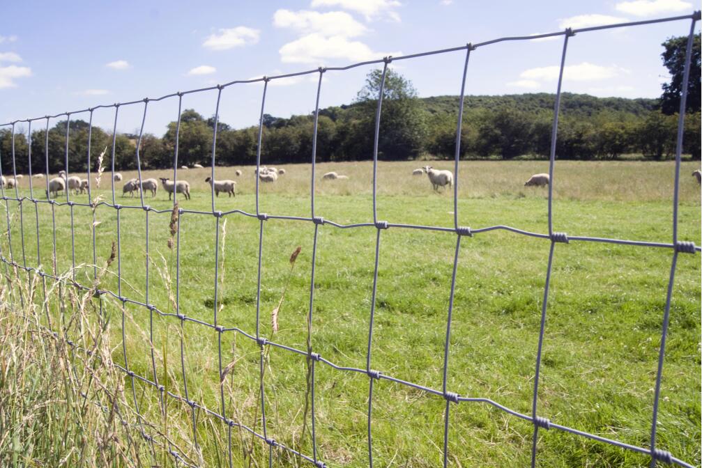 Cattle fence simple structure, easy maintenance