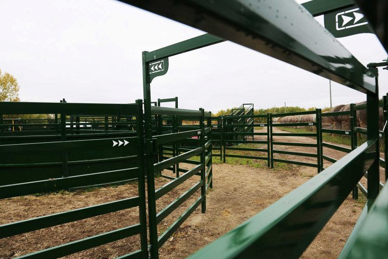 These are the differences you need to know about cattle panels