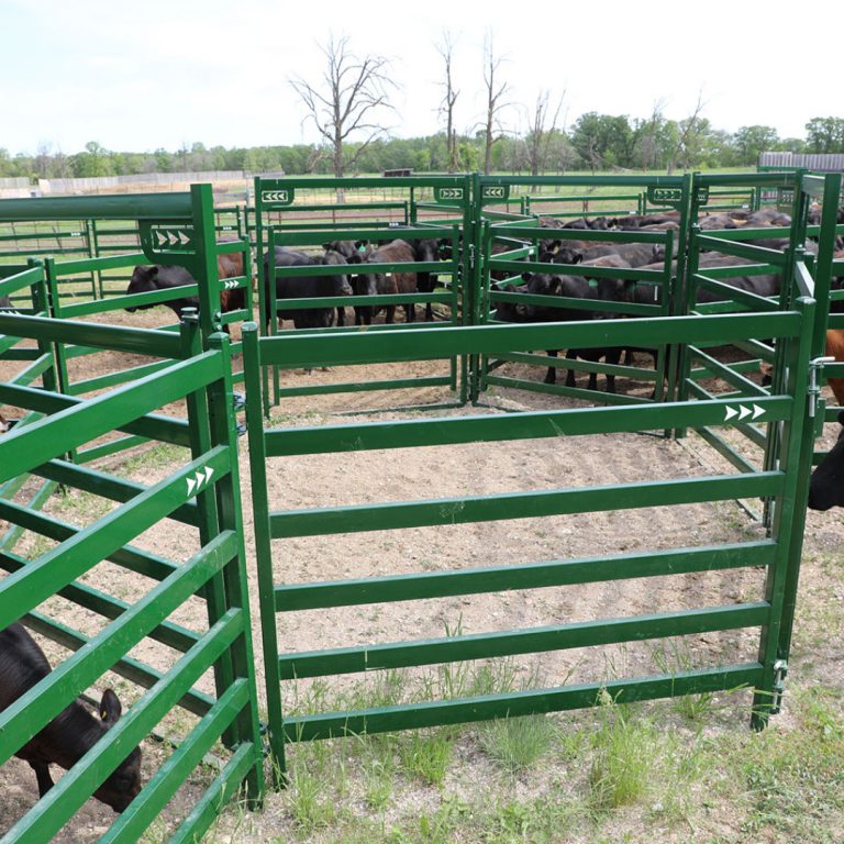 These are the differences you need to know about cattle panels