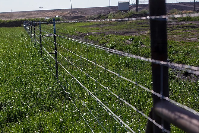 What is the Best Fence for Your Livestock?