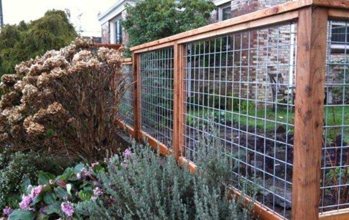 how to choose the right diy garden fence for your needs?