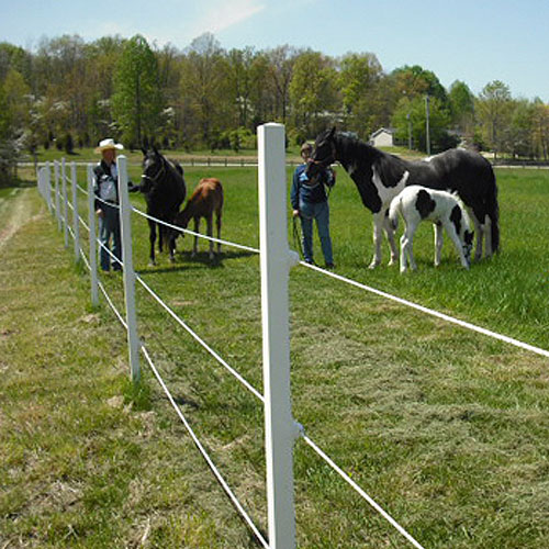 How to build Electric Fence for Horses / Equine on your farm