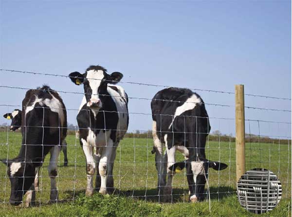 The field fence