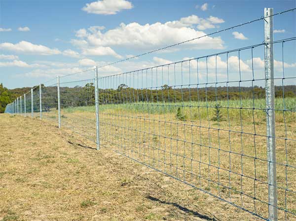 Field Fence with curves 