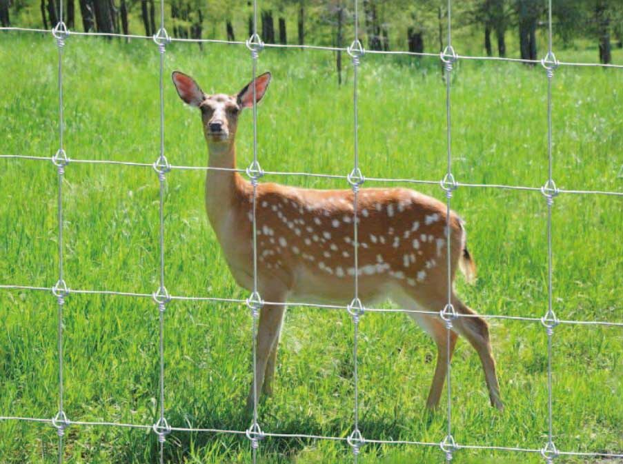 Best quality deer fence