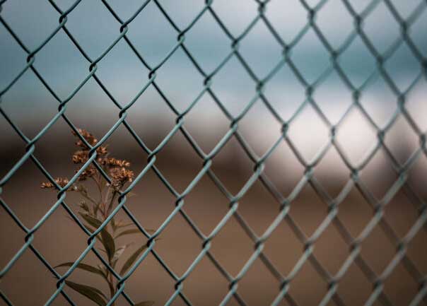 Superiority of Chain-link Fence