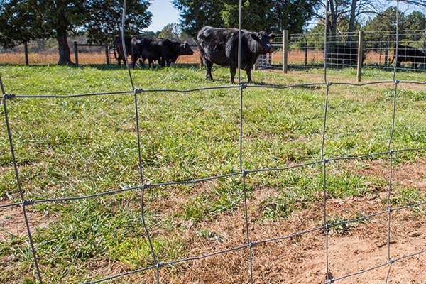 Advantages of field fence