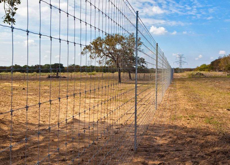 deer farm fence cost，deer mesh, Cervus elaphus fence