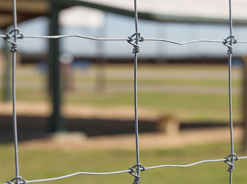 Unmatched Durability: Fixed Knot Deer Fence