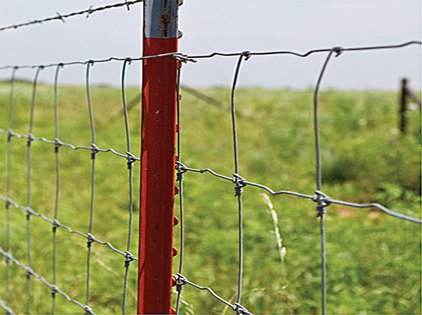 Unmatched Durability: Fixed Knot Deer Fence