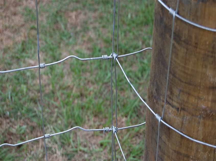 Preventing Deer Damage: Why Knot Deer Fence is Your Best Defense