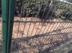 Double Wire Mesh Fence: A Border Keeper's Story