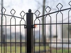 Comparing Materials: Stainless Steel vs. Galvanized Double Wire Mesh fence