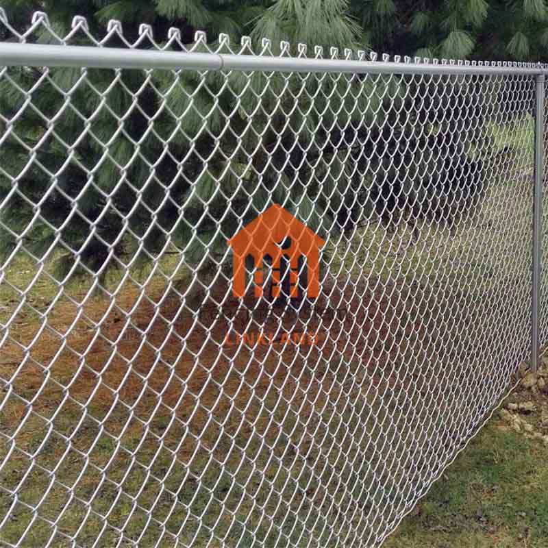 Exploring the Diamond Mesh Fence: A Model for the Future of Fencing