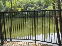 Safety and beauty - the choice of high-quality fences