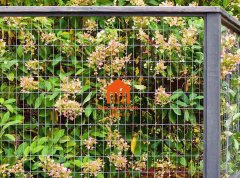 Fence design and material selection: aesthetics and safety